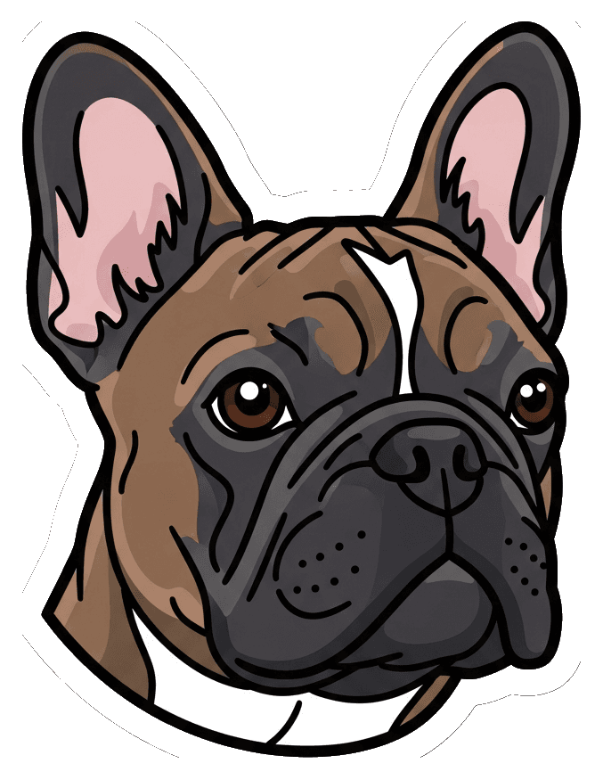 Französische Bulldogge Portrait — Französische Bulldogge