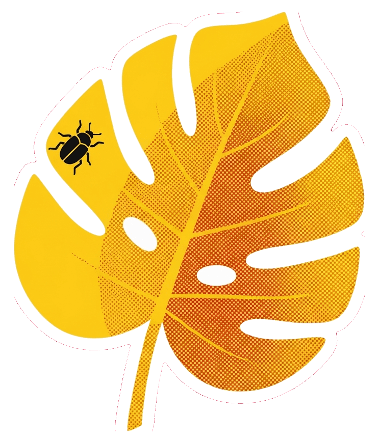 Monstera-Blatt — Monstera